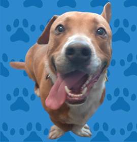 Photo of MELO