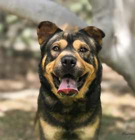 Photo of FRANK