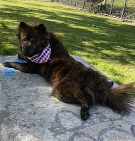 Photo of Kiki