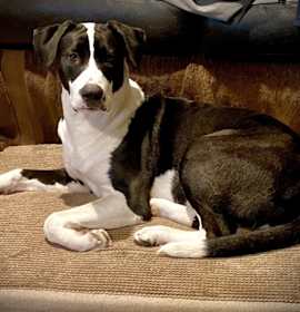 Photo of Zillah