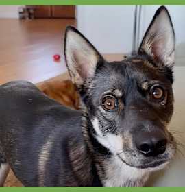 Photo of Kiki