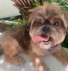 Photo of ABBY