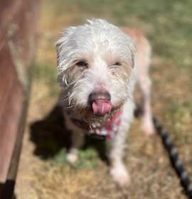 Photo of Quincy