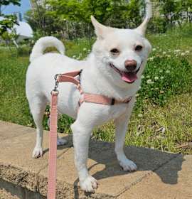 Photo of Binnie