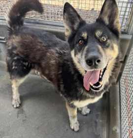 Photo of MAJOR