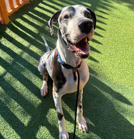 Photo of Jericho A2146430