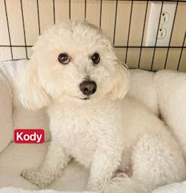 Photo of Kody