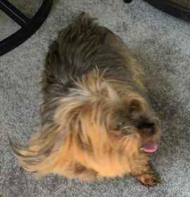 Photo of Ginny