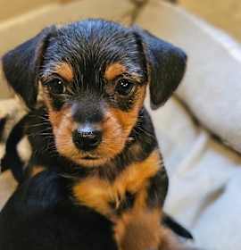 Photo of Zoe
