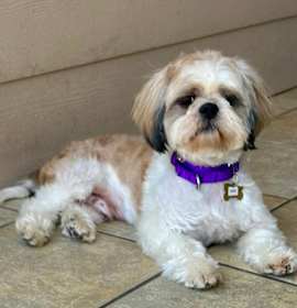 Photo of OBIE