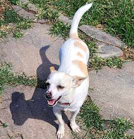 Photo of Courage (VA)