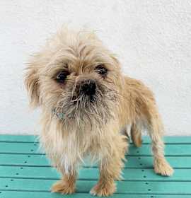 Photo of Sparkles