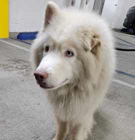 Photo of PO