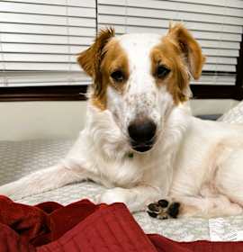 Photo of Freckled Face Cutie