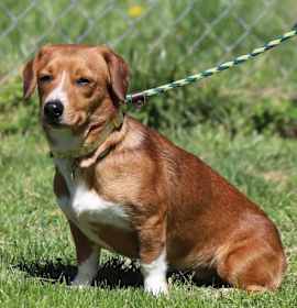 Photo of Genny