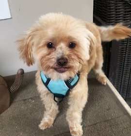 Photo of Frankie