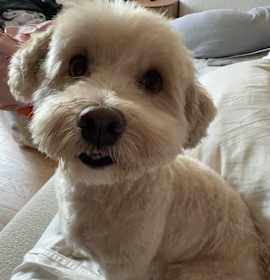 Photo of Gus Gus