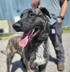 Photo of knox located in New Mexico