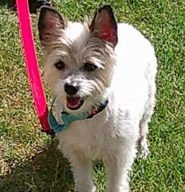 Photo of FAITH