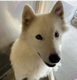Photo of LUNA