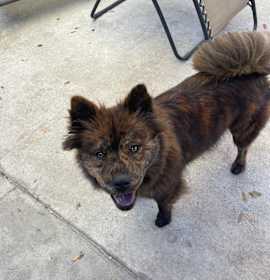 Photo of Kiki