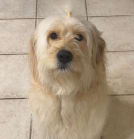 Photo of LUKE