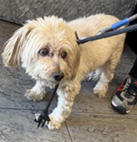 Photo of TEDDY