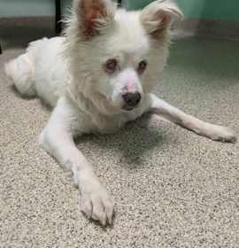 Photo of Lucy