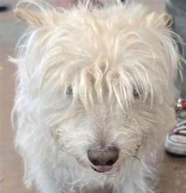 Photo of JELLY