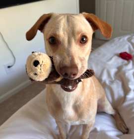 Photo of Arlo