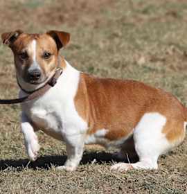 Photo of Burt A