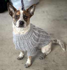 Photo of Popeye