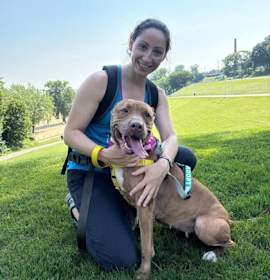 Skyla II (in foster) photo 2