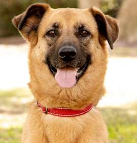 Photo of Lexi