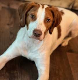 Photo of MN/Bentley