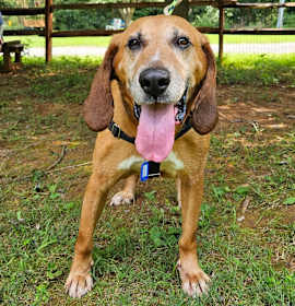Photo of Cornbread
