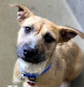 Photo of Evie A5423014