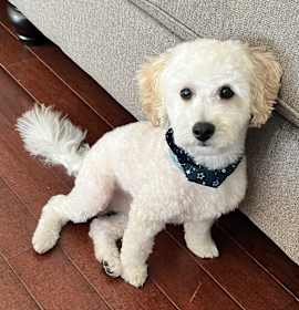 Photo of Zuko