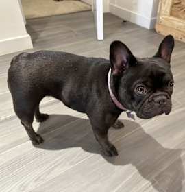 Photo of Martha