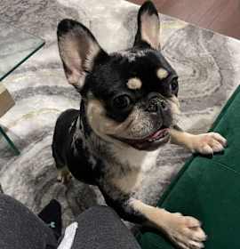 Photo of Khloe