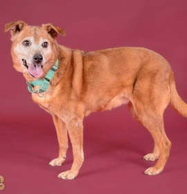 Photo of Grandma Pearl 5470D