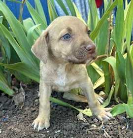 Photo of Flora