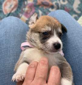 Toasty Breakfast Bunch photo 2