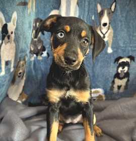 Photo of Gia