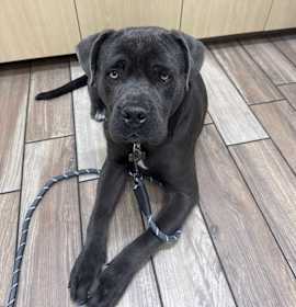 Photo of Storm