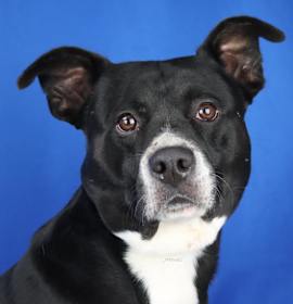 Photo of Turtle- 070801T-2