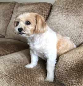 Photo of Jake