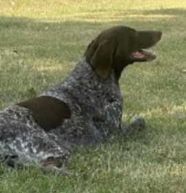 Photo of Mallory