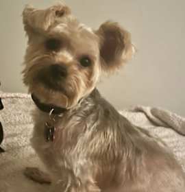 Photo of Oakley