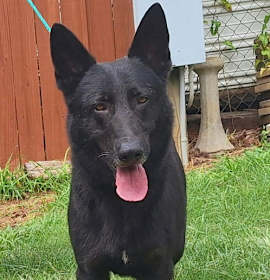 Photo of 251652 Dakota